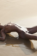 Naked ebony babe posing by the sea-13