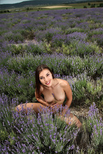 Naked Teen Posing At The Lavender Field-11