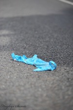 On The Road With Hayley Marie Coppin-08