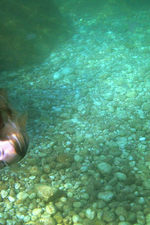 Under The Water-02