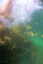 Under The Water-05