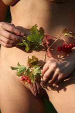 Redberries-13