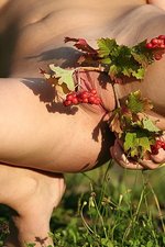 Redberries-15