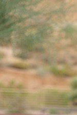 Bree flashes her naked body outdoor-02