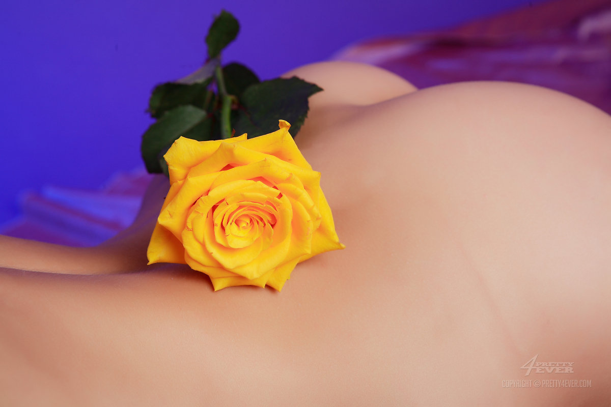 The flower of lust-15