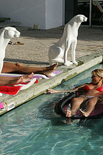 Four sultry hotties in pool orgy-00