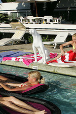 Four sultry hotties in pool orgy-01