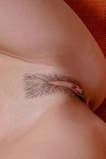 Erotic photoset by a sexy brunette-12